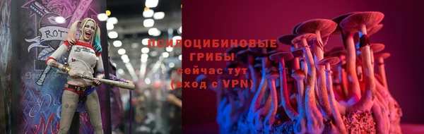 mdpv Баксан