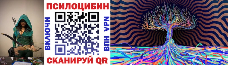 Псилоцибиновые грибы Cubensis  Городовиковск 